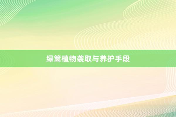 绿篱植物袭取与养护手段